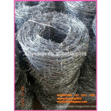 bwg 14 , 20kg , bright surface electro galvanized barb wire